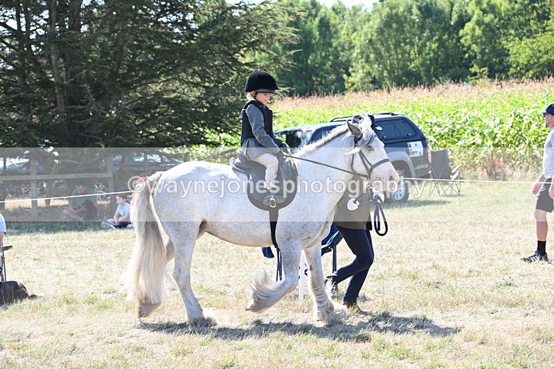 WJ6_7827 - Class 36 Lead Rein