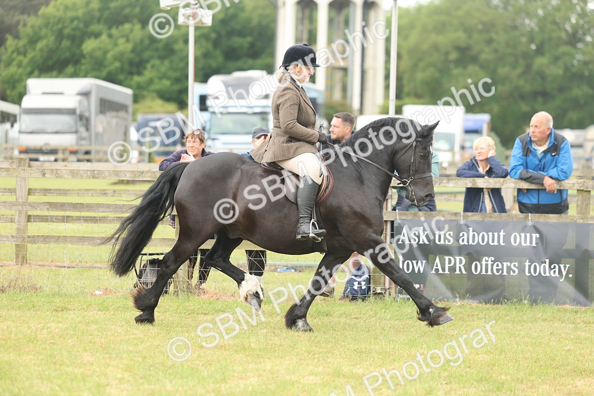 SBM_07276 - Class 76-77 - Ridden M&M Welsh Ponies
