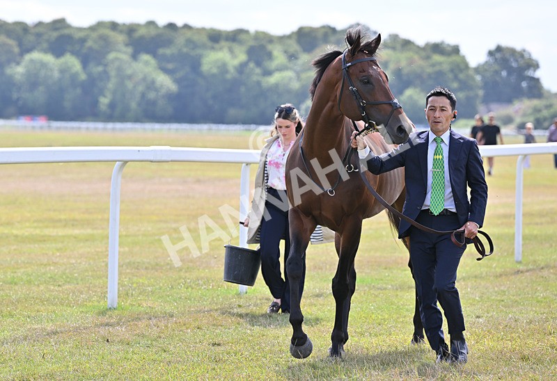 220826-125 Satono Reve - Race 3 15.00pm Sky Bet City Of York Stakes