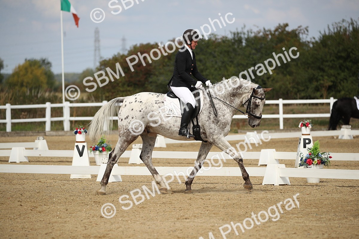 SBM_001401 - Class 2 - Pelim 5 - 11.36.12.32