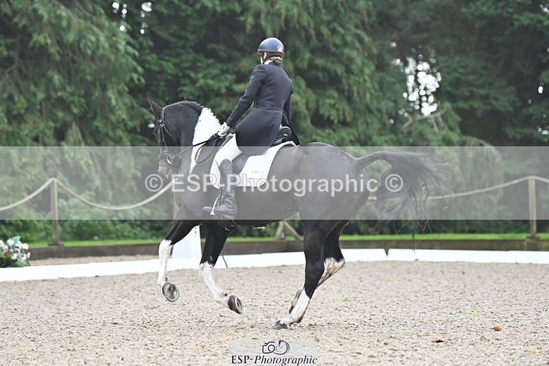 231019-103515-01895 - 101-RICARDO.COLOURS.II-Elizabeth.Wadey-DR