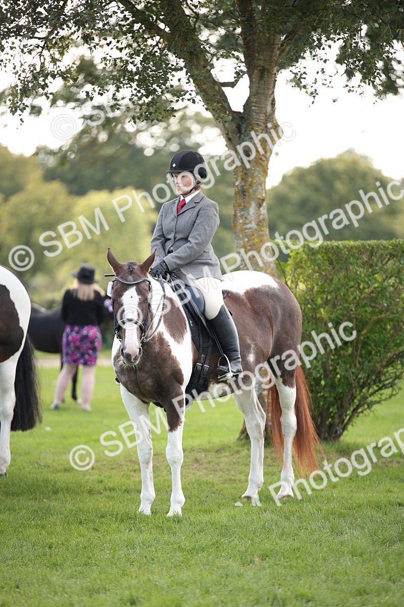 SBM_50153 - S26 - Young Veteran - Ridden