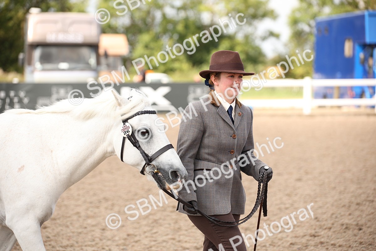 SBM_03756 - Class 19 Judge's Favourite