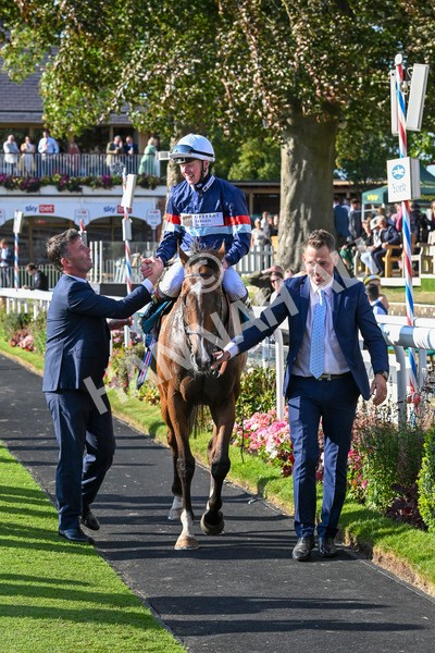 240824-Race 7-Sir Busker-2069 - Race 7 5.20pm Sky Bet Finale Handicap