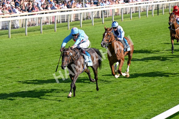 110725-Race 7-Secret Beach-0586 - Race 7 5.40pm William Hill Bet In Running Apprentice Handicap