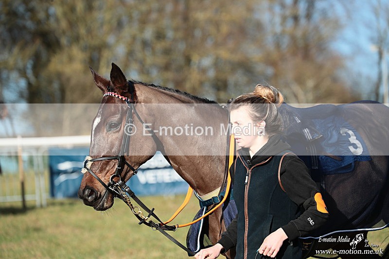 PtP 240126 11 - Cambridgeshire & Enfield Chase PtP Horseheath 24/01/26