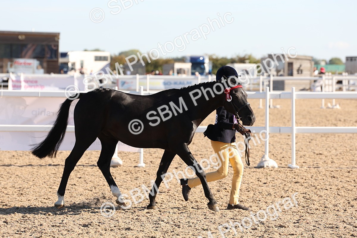 SBM_11709 - Class 203 - Young Handler 11 to 16 years