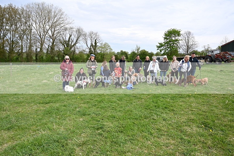 WJ6_8191 - Class 2 Best Pedigree