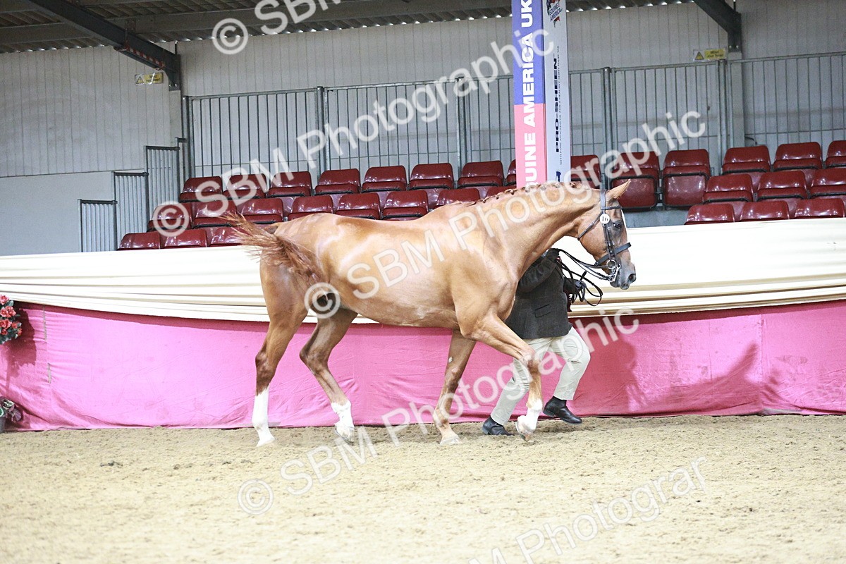 SBM_06635 - Regional - IH Champs