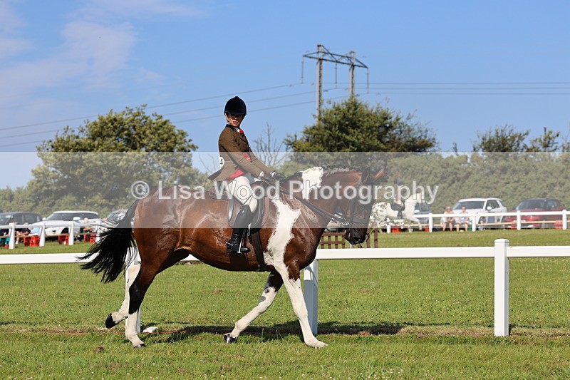IMG_1646 - Skewbald and Piebald Ridden Championship