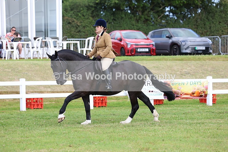 3E7A9730 - Class 5: Rising Star Lightweight/Heavyweight Cobs