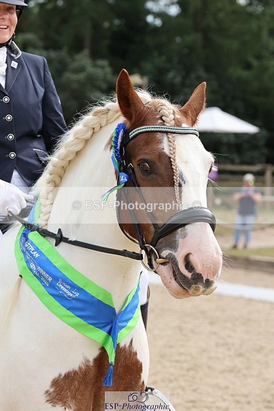 250718A-162814-02829 - Fri Presentations