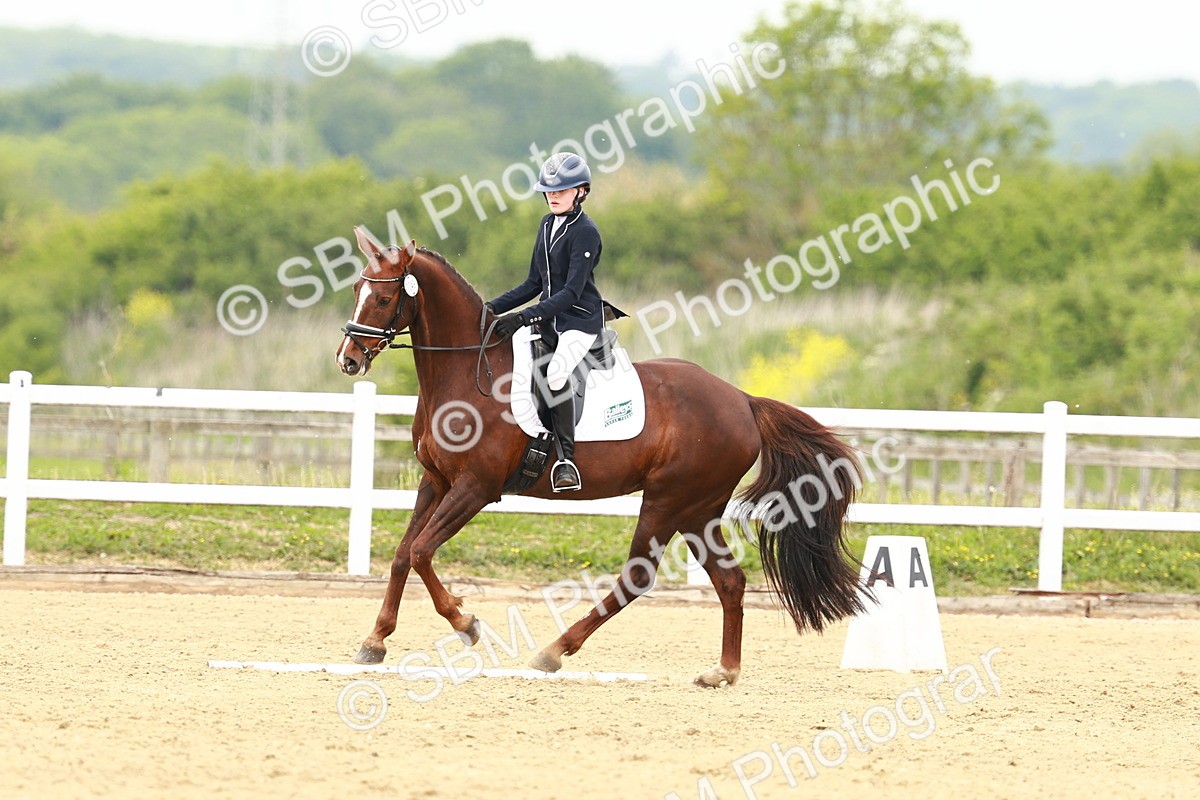 SBM_001623 - Class 7 - Novice 5