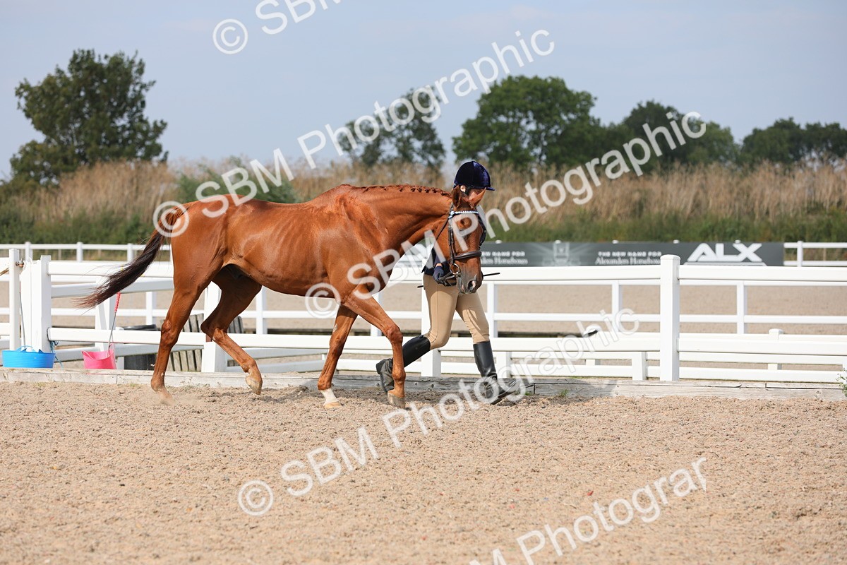 SBM_15902 - Class 313 IH Retired Racehorse