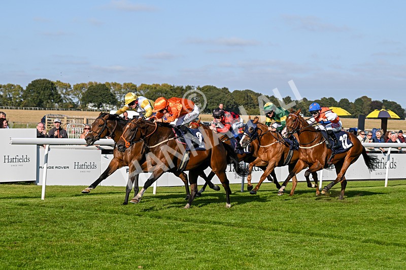 180924-Race 6-Elegant Erin-5045 - Race 6