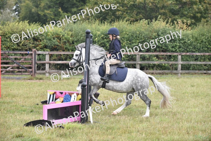 20250831-1851 - Class 9 - Absolute Novice 45cm