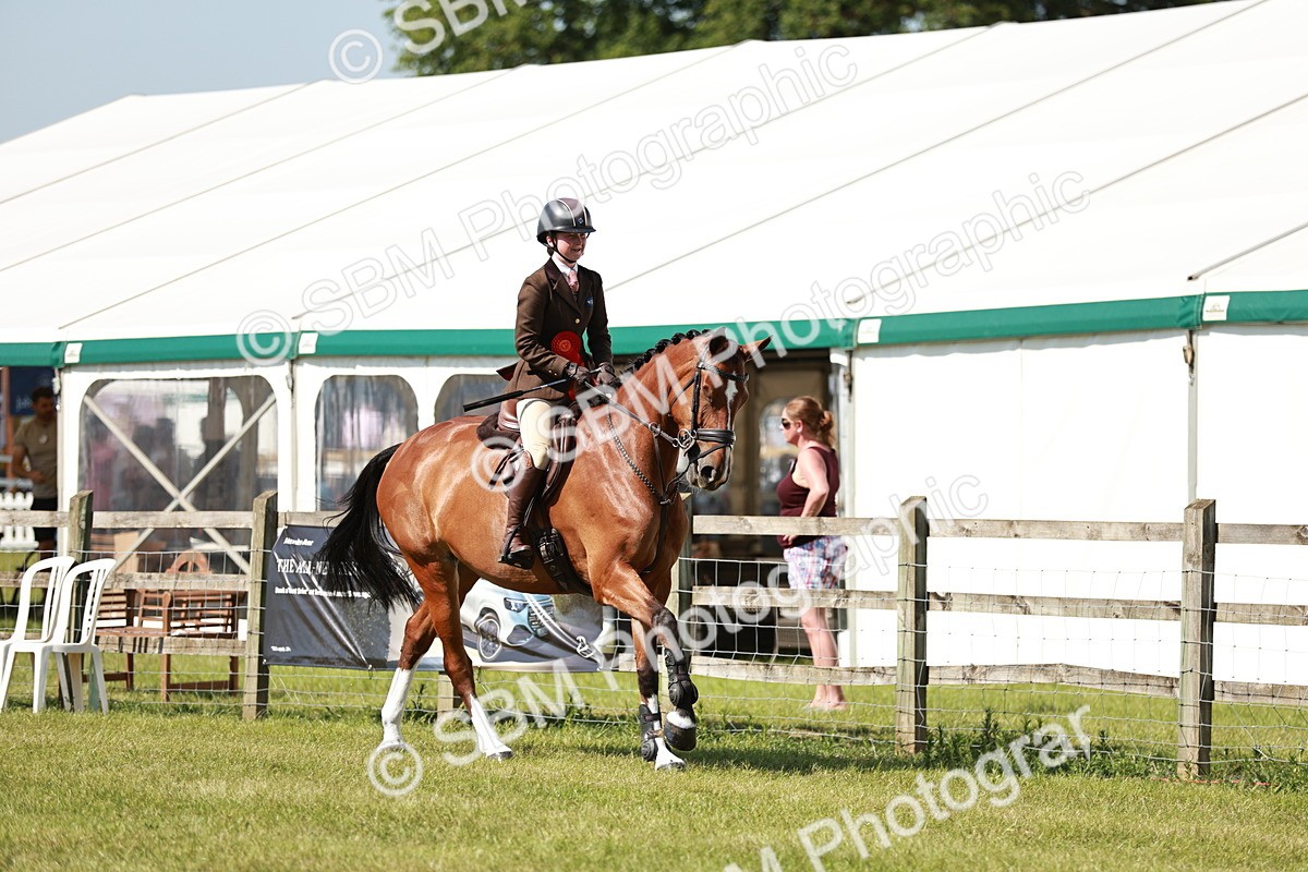 SBM_18488 - Class 112-113 - BSPS LIHS Working Sports Pony