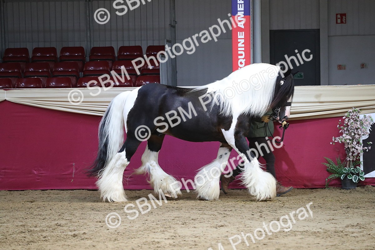 SBM_06537 - Regional IH Champ