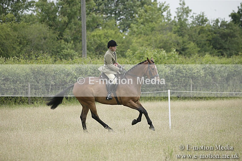 B230619-0966 - Bourne Valley Riding Club Summer Show 23/06/19