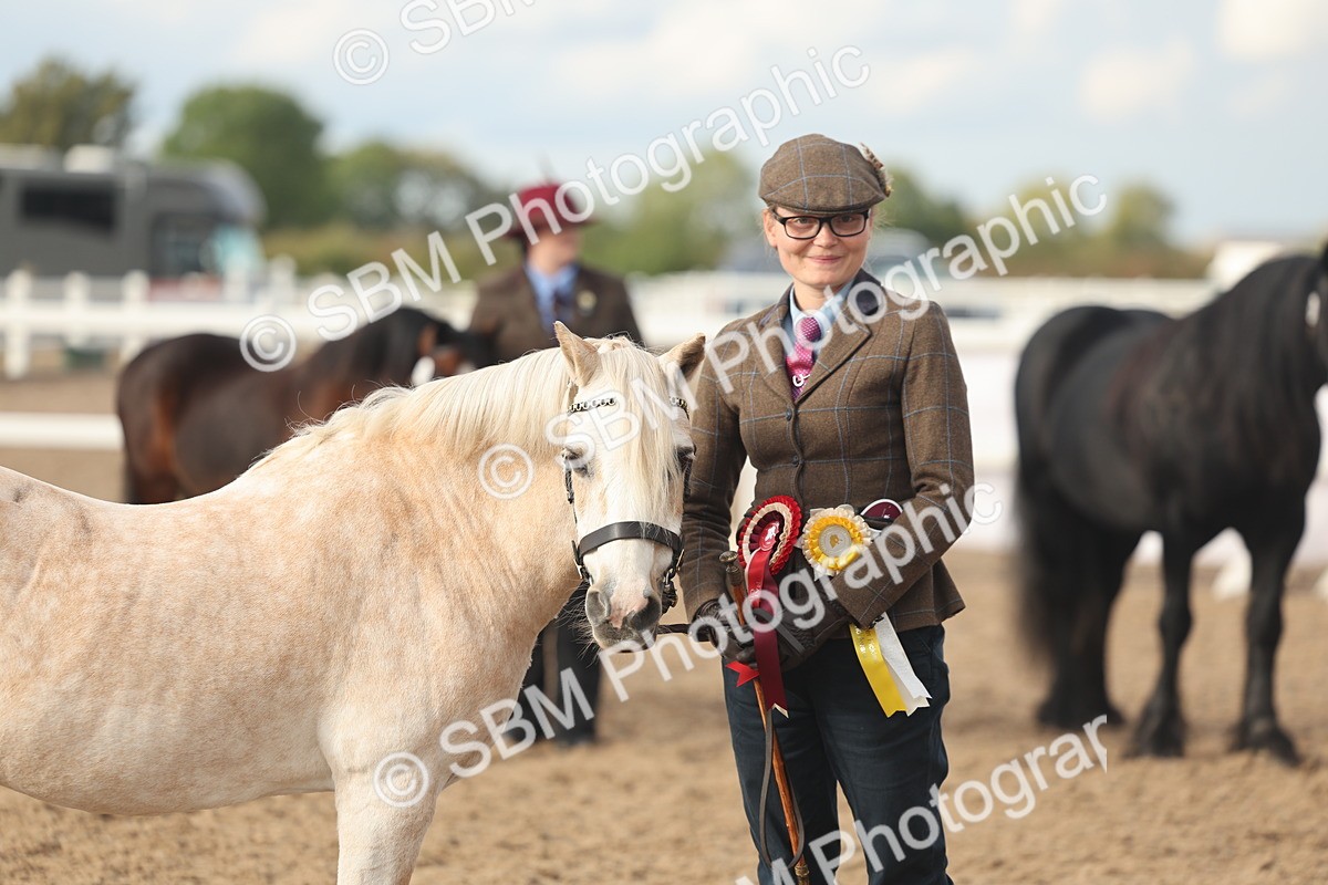 SBM_08586 - Class 29 - IH Veteran Pony