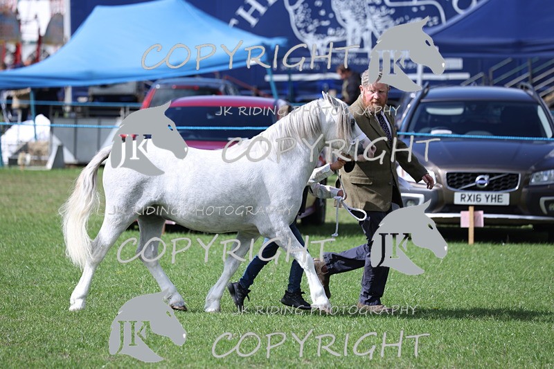 APP_3007 - Class 10a/b M&M in hand