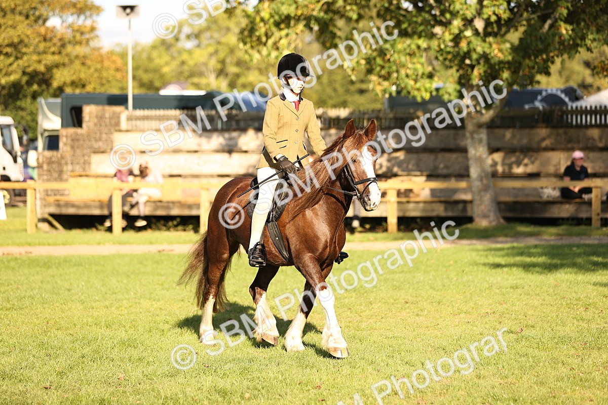 SBM_29392 - S7 - Novice & Newcomers Ridden Pony