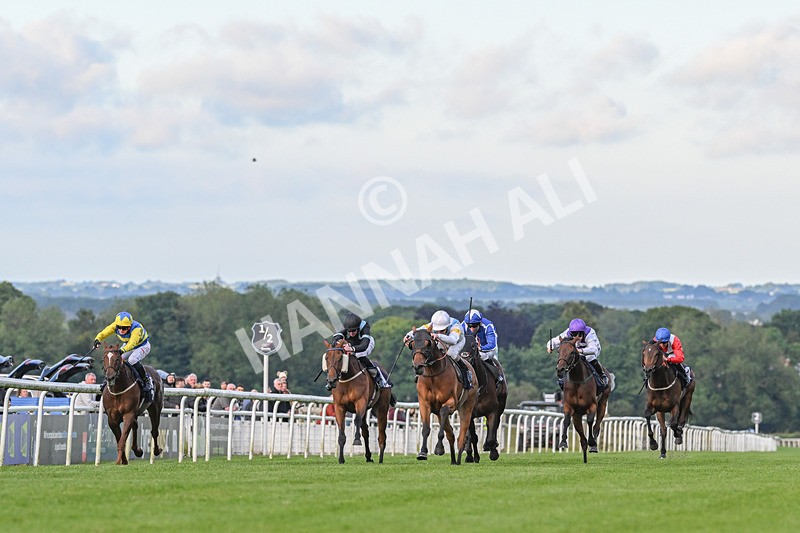 180624-Race 4-Distinction-8648 - Race 4