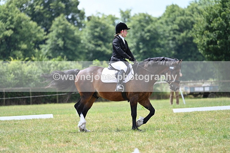 WJ7_5690 - Time 11:52 to 12:10