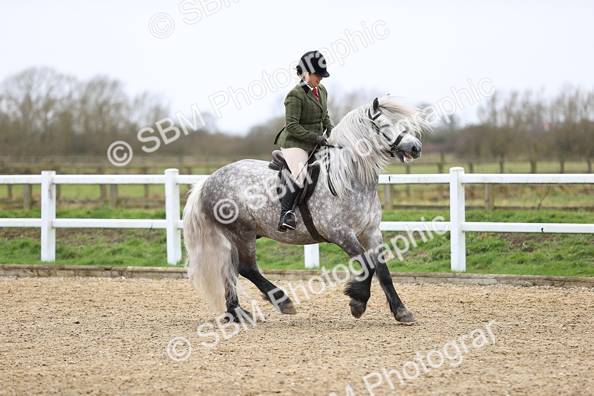 SBM_007510 - Class 31-32 - M&M Confined Novice Small-Large