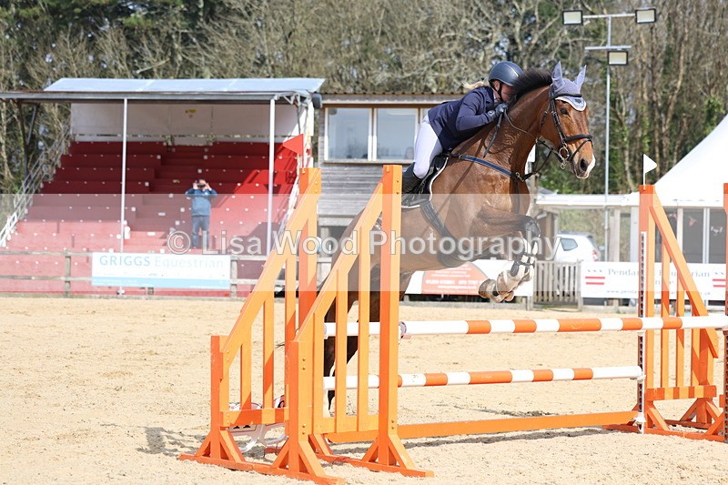 3E7A6709 - Class 4: Senior British Novice/90cm open