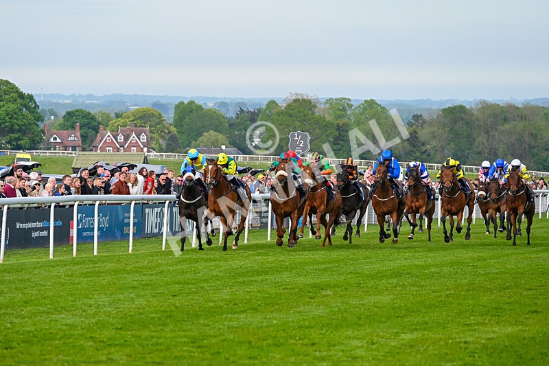 040526-Race 8-Coolree-4322 - Race 8