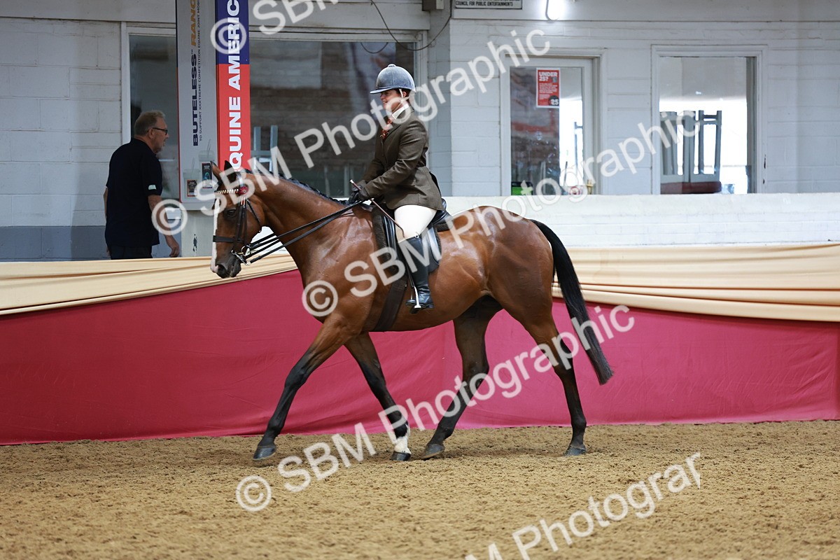 SBM_14914 - Class 108 - Ridden Retired Racehorse