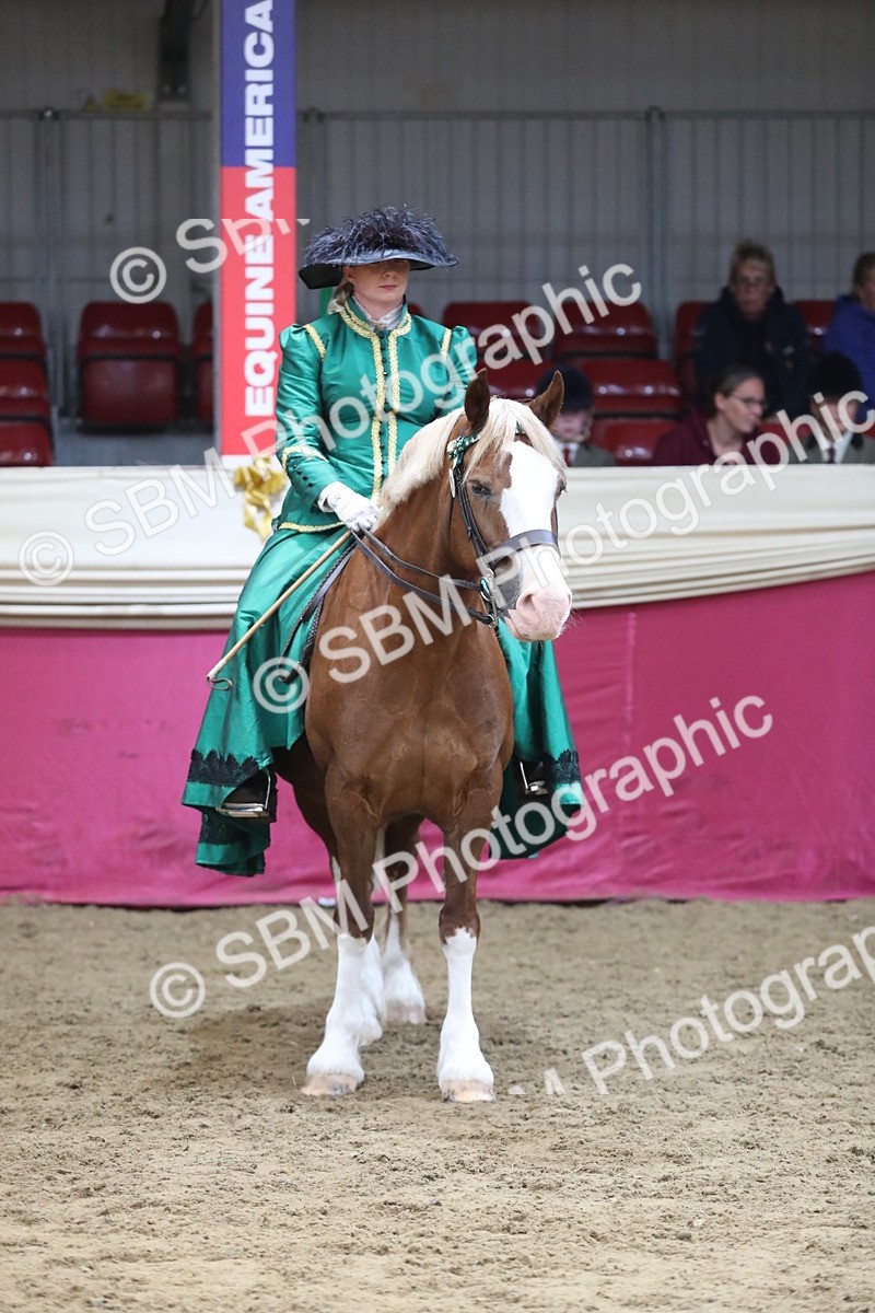 SBM_12173 - Class 107 Ridden Costume- Astride Adult (20+)