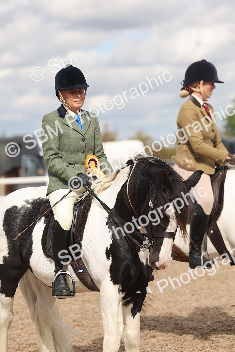SBM_14696 - Class 307 - Ridden Coloured Pony