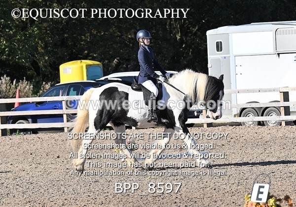 BPP_8597 - SHORT ARENA