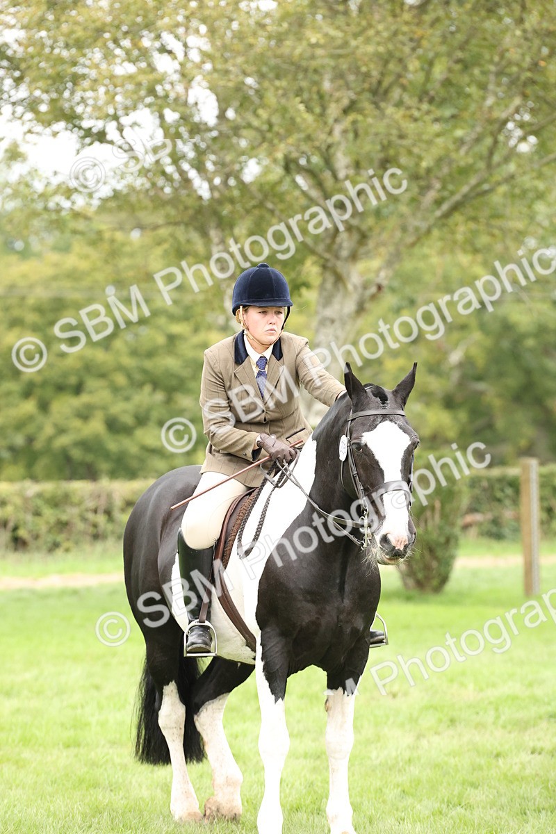 SBM_67302 - S67 - Piebald & Skewbald Horse Ridden
