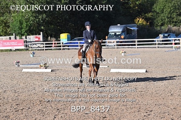BPP_8437 - LONG ARENA