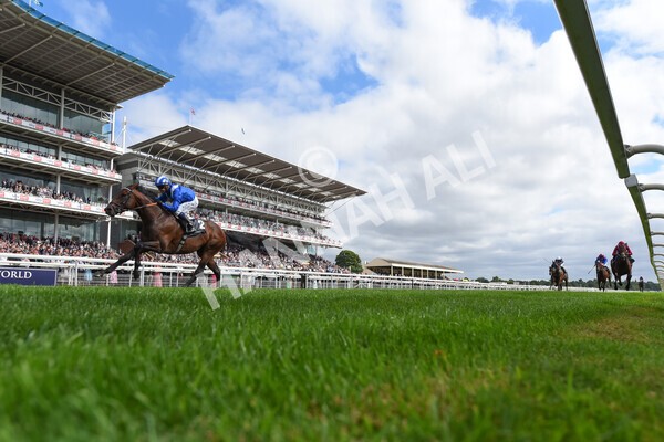 yr17082022r4-81 - Race 4 3.35pm Juddmonte International Stakes (British Champions Series Race)