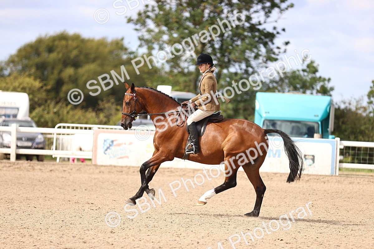 SBM_12937