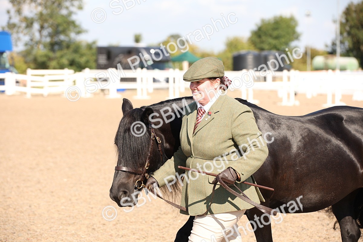 SBM_02740 - Class 16 IH M&M Wildcard