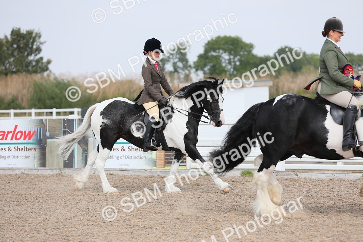 SBM_12875 - Class 307 Ridden Coloured Pony