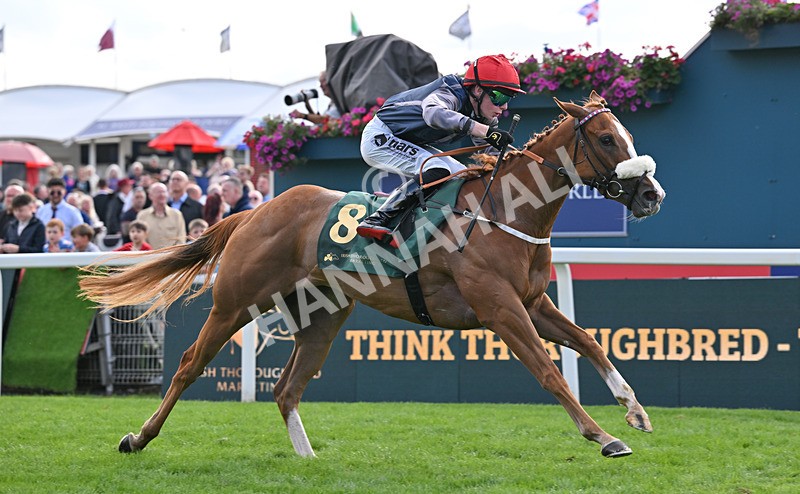 190826-225 Miss Yechance - Race 6 16.45pm Irish Thoroughbred Marketing Handicap