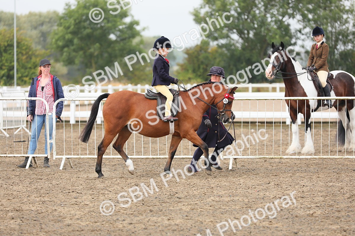 SBM_21709 - Class 806 - Young ridder 10 Yr & Under