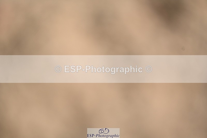 240323A-093844-01253 - DR Intro B