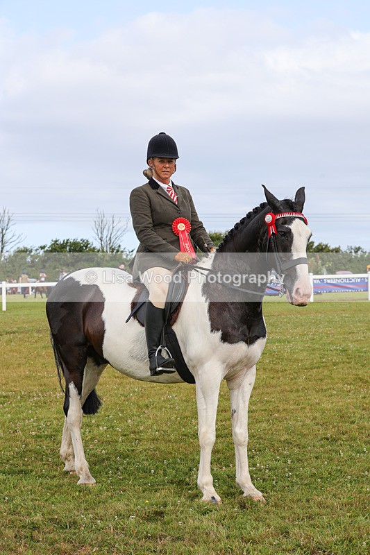 1X9A3078 - Class 26: Ridden Plaited Coloured Pony