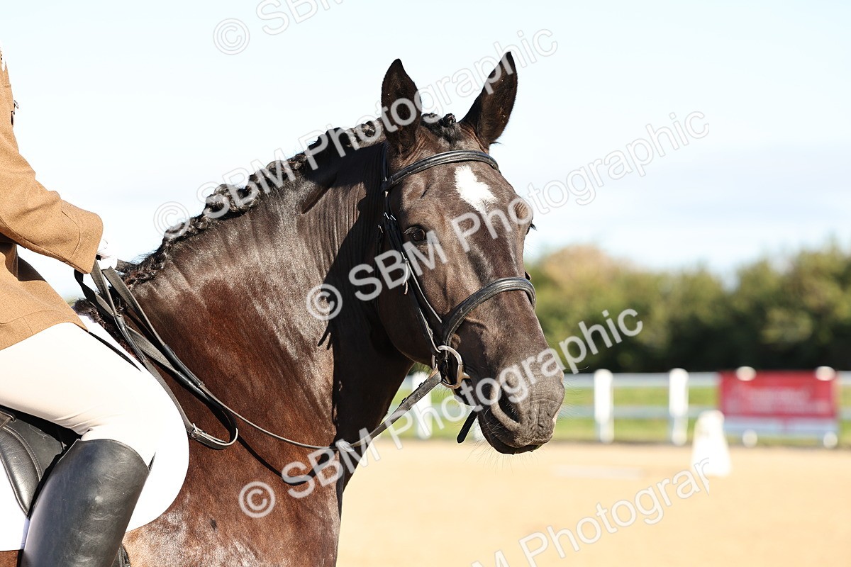 SBM_003079 - Class 66 - Intro 3