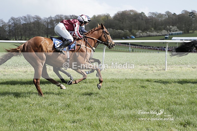 PtP 100423 503 - Old Berkshire Point-to-Point Lockinge 10/04/23