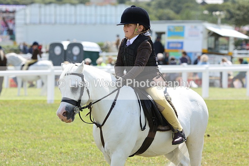 JPP_1851 - Class 18: Tiny Tots Working Hunter Pony