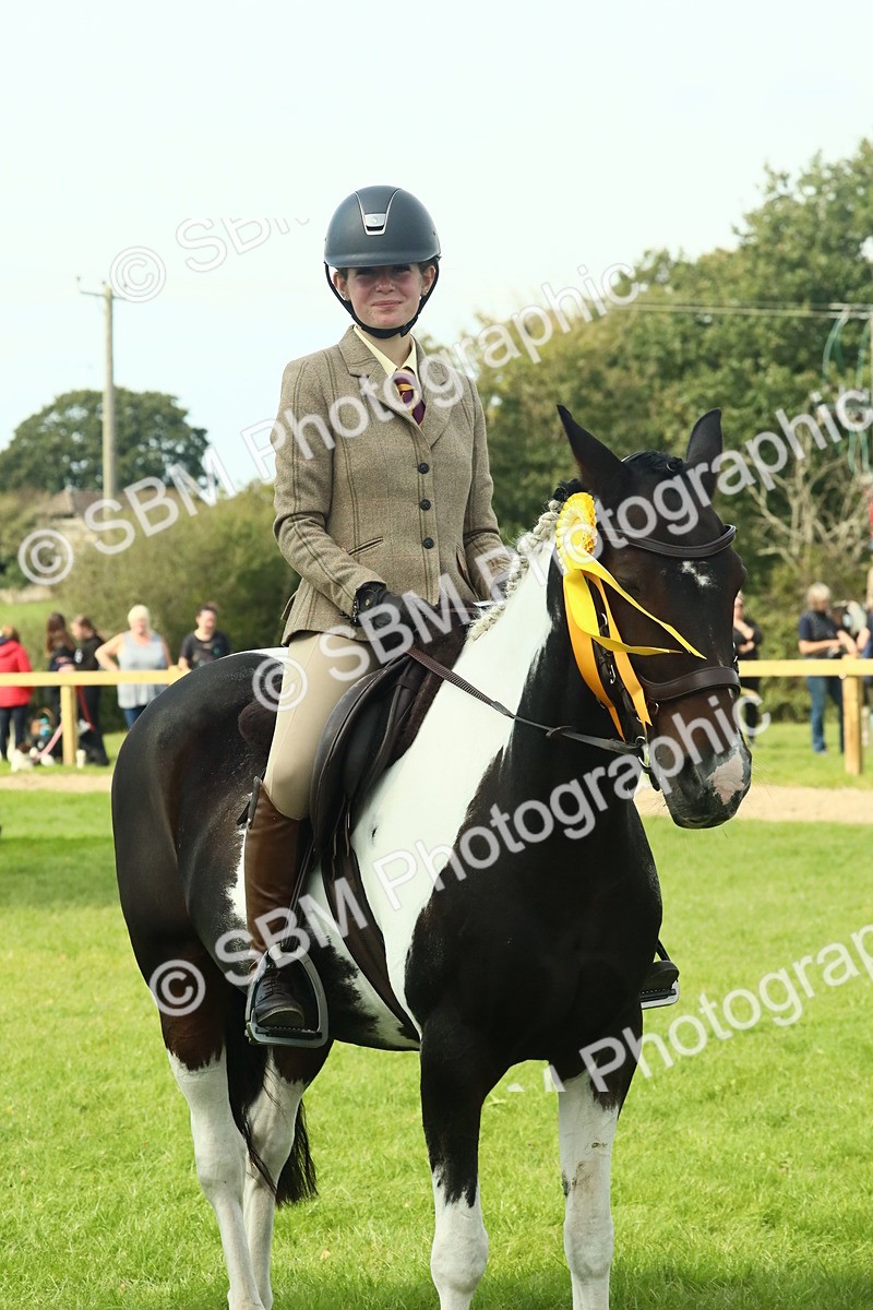 SBM_66799 - S34 - Rehabilitated Rescue Horse & Pony In Hand & Ridden