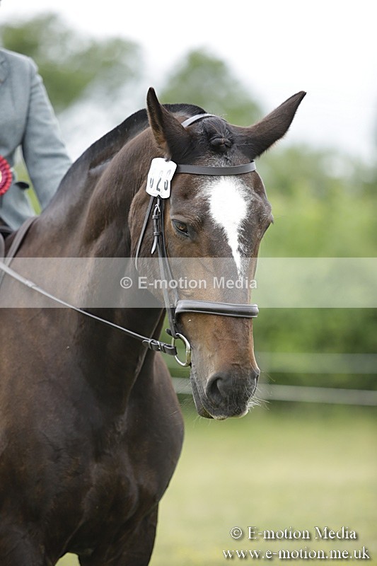 BVR160717-2135 - Ridden Championship 16/07/17